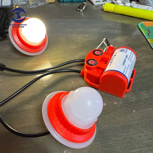 Lampe <span class=keywords><strong>de</strong></span> radeau <span class=keywords><strong>de</strong></span> <span class=keywords><strong>sauvetage</strong></span> mini, certifiée Solas Ec Ccs, bon marché - Product Image 3