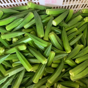 CORTES DE OKRA CONGELADOS IQF DE CALIDAD PREMIUM 10-15MM | NUEVO CULTIVO EN CARTONES DE 10KG - Product Image 5