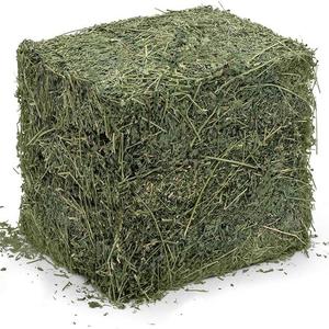 High Quality Alfalfa Hay High-Protein <b>Feed</b> for Animals and Fish for Cattle Pig Horse Pet Food Packaged in Bales Low price - Product Image 2