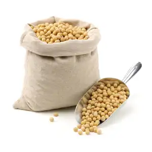 High Grade Soybeans / Soyabean soy beans seeds GMO DRIED CHEAP SOYBEANS Cheap Price