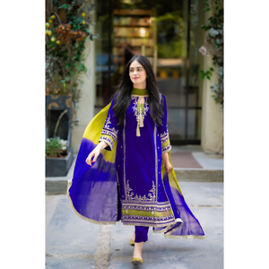 PAKISTANI & INDIAN CASUAL WEAR COLLECTION D'ÉTÉ TOP ROBE EXIGEANTE AVEC COULEUR PERSONNALISÉE VÊTEMENTS TRADITIONNELS POUR FEMMES STYLE PUNJABI - Product Image 2