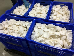 Precio competitivo carne fresca de coco congelada IQF para hornear con alta calidad de Vietnam - Product Image 4
