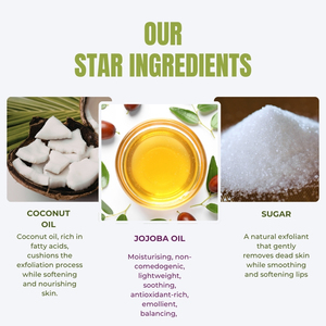Baume exfoliant pour les lèvres à marque privée, formule naturelle, ingrédients biologiques végétaliens, collagène, huile de jojoba, soin des lèvres, baume éclaircissant, crème-huile - Product Image 5