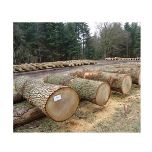 Straight Grain Oak Round <b>Logs</b> White Oak and Red Oak Timber for Lumber and Joinery Industry - Product Image 2
