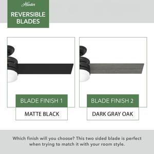 Hunter Fan 54 in Casual Matte Black Ventilador de techo para interiores con kit de iluminación y control remoto - Product Image 2