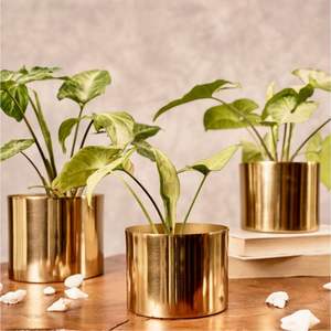 Pot de fleurs décoratif en or personnalisé, pot de fleurs en métal pour l'intérieur, vente en gros, pot de fleurs en laiton de luxe pour le salon, jardin moderne - Product Image 1