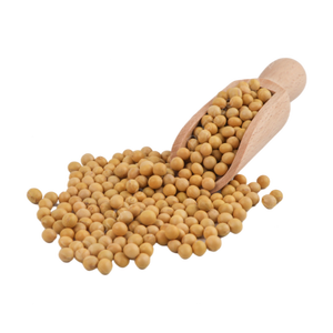 Soja jaune biologique de qualité supérieure, en vrac, naturel, non-OGM - Product Image 4