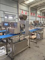 Machine automatique électrique pour l'application de sauce et de fromage sur les pizzas, vente chaude, directement de l'usine