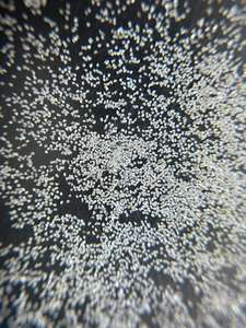 Polvo de Diamante Natural SOHAM, Grano para Pulido de Alta Eficiencia, Calidad Premium, Estructura Cristalina Bloqueada y Afilada, Corte Ultrafino - Product Image 2