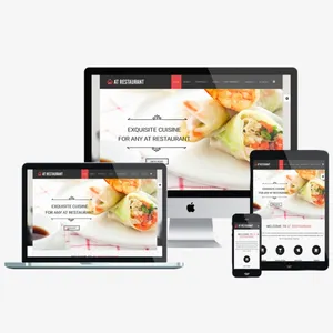 Responsieve Website Ontwerpen | Website Ontwikkeling | E-Commerce Wordpress Website Ontwerp