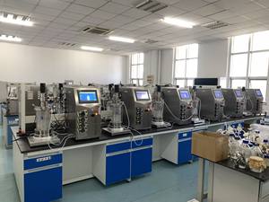 Bailun 10L bioréacteur fabrication de vaccination bioréacteur en verre à agitation mécanique utilisé BLBIO-GJ de culture - Product Image 3