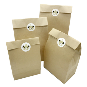 Bolsas de Papel Recubierto Blanco Marrón de Lujo, Asas de Cuerda de Algodón, Tamaños Personalizables, Reciclables, Diseño Clásico con Ojales y Ventana - Product Image 5