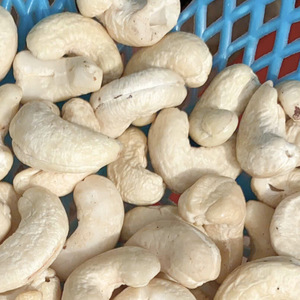 WW180เม็ดมะม่วงหิมพานต์แบบ WW240 WW320จากประเทศจีนจัดส่งแบบวันใหม่ - Product Image 1