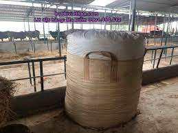 Exportation de maïs d'ensilage - Product Image 2