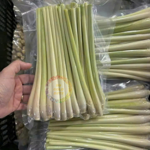Hierba de limón IQF de alta calidad, congelada sin OGM al mejor precio, lista para exportación a granel al por mayor desde 99GD - Caryln 0084935825297 - Product Image 6