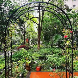 Cenador de jardín de acero galvanizado para varias plantas trepadoras, césped al aire libre, decoraciones de deshierbe, arco de boda para exteriores - Product Image 2