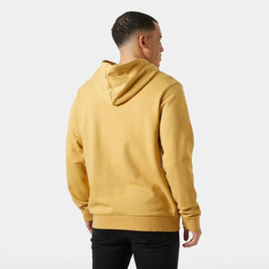 Sweat à capuche épais et chaud pour homme, style streetwear d'hiver, couleur unie, taille personnalisée, vente en gros, respirant, sweats à capuche pour homme personnalisés - Product Image 2
