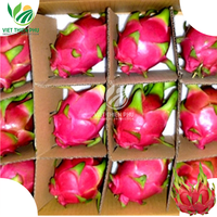 Vers Wit Drakenfruit/Vers Rood Drakenfruit Groothandelsprijs Hoge Kwaliteit Klaar Om Te Exporteren Uit Vietnam