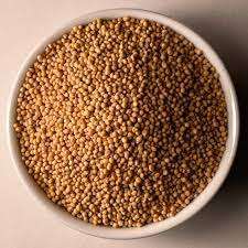 100% graine de moutarde pure et naturelle à vendre - Product Image 4