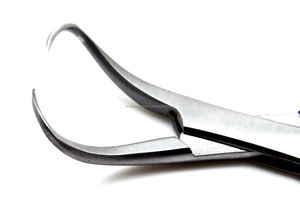 ชุดเครื่องมือผ่าตัดสัตว์แบบแมนนวล World Precision Surgical Backhaus Towel Clamp Forceps 90 มม. ทำจากสแตนเลสสตีล ชุด 10 ชิ้น มาตรฐาน CE - Product Image 2