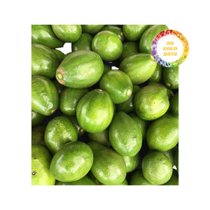 Avocats verts frais et vibrants à chair épaisse - Idéaux pour le guacamole, la découpe en tranches et les applications alimentaires commerciales - Product Image 5