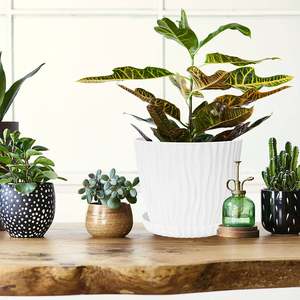 Macetas y macetas de nuevo diseño, acabado decorativo para decoración de hogar y boda, macetas de metal al precio más barato - Product Image 5