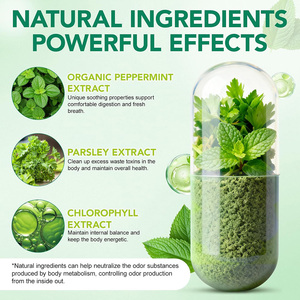 Integratore Biologico Senza Glutine a Base di Estratti Vegetali per la Freschezza del Corpo – Capsule per un Supporto Quotidiano Pratico per Adulti Impegnati, Viaggi e Giornate in Ufficio - Product Image 3