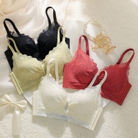 Soutiens-gorge sexy en dentelle pour femmes Soutien-gorge push-up à armatures Bralette à broderie Lingerie Soutien-gorge non rembourré Sous-vêtements féminins