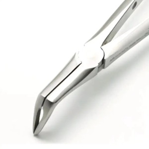 Premium Quality Dental Extraction Forceps Manual Reusable Instrument in Convenient Packaging Box - Product Image 3