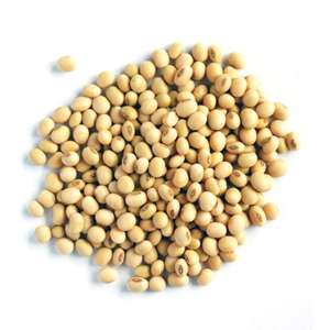 FACTORY PRICE ORGANIC NON GMO SOY <b>BEANS</b> FOR SALE - Product Image 3