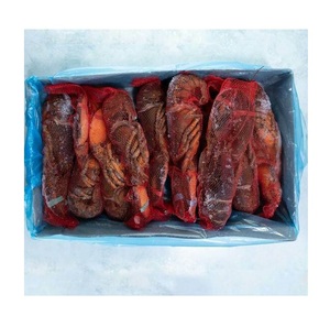ล็อบสเตอร์ทั้งตัวสด/แช่แข็ง - Product Image 4