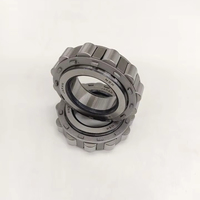 RN309 bantalan rol silinder eksentrik, 45*86.5*25mm RN309M RN309E RN307 RN308 tanpa cincin luar