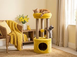 Torre para Gatos Atlanta Honey Gold con Sunny Joy - Product Image 5