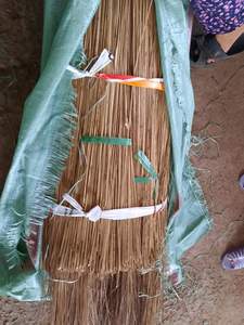 PALO DE ESCOBA DE COCO PREMIUM/DURABILIDAD ARTESANAL/HECHO EN VIETNAM - Product Image 5