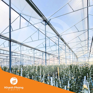 Película de Invernadero Confiable para el Cultivo de Flores en Agricultura, Silvicultura y Pesca Diseñada en Tamaños de Rollo Estándar - Product Image 5