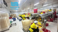 Mekong-rivier Vietnam export gedroogde zoete mango snack vacuüm verpakt bulkverpakking lange houdbaarheid rijke aroma