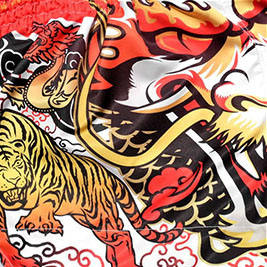 Meilleur Prix Fabricant Professionnel Design Unique Tendance Short de Muay Thai en Soie MMA avec Logo Personnalisé - Product Image 6