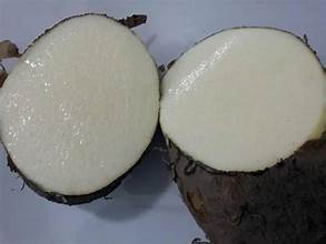 RACINE DE YAM BLANCHE NATURELLEMENT CONSERVÉE/ORIGINE VÉGÉTALE/FORMULATION PROPRE/AUCUN CONSERVATEUR CHIMIQUE AJOUTÉ - Product Image 6