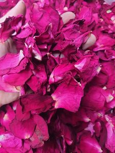 Pétalos de Rosa Secos Orgánicos para Té de Hierbas, Baño de Spa y Cuidado Corporal - Product Image 4