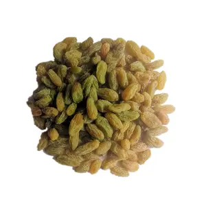 Wholesale Great Quality Organic Dried Fruits Green Raisins Prices