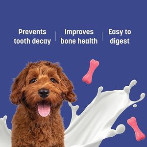 Le supplément naturel pour animaux de compagnie à mâcher en calcium de haute qualité pour chiens et chats soutient des os solides dents et la croissance des jeunes - Product Image 3