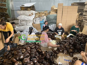 Tazón de coco reutilizable hecho a mano Natural 100% | Cuencos de cáscara de coco | Cocina vegana ecológica para ensaladas, cuencos para batidos - Product Image 6