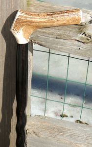 Bastón de madera ajustable a menudo con múltiples nudos, bastón de madera fuerte para ancianos por Standard International - Product Image 4