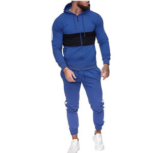 Deux pièces survêtement à capuche pour hommes 100% coton Sport Jogging ensemble veste confortable pantalons de survêtement équipe survêtement pour la saison d'automne - Product Image 1