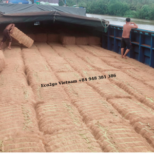 Meilleure vente!! Meilleure vente de fibre de coco à motif brut provenant de noix de coco pour l'agriculture fabriquée au Vietnam - Product Image 4