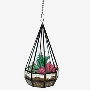 Diamond Shaped Iron and Glass Terrarium - Product Image 2
