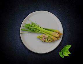 ÉTIQUETTE PROPRE DE CITRONELLE CONGELÉE BOTANIQUE PURE SUPPORT IMMUNITAIRE INGRÉDIENT À BASE NATURELLE - Product Image 3