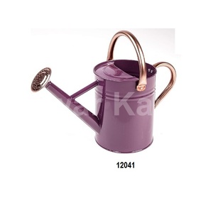 Jarra de regadera de metal para plantas, regadera de jardín para niños, regadera de flores para el jardín del hogar - Product Image 1