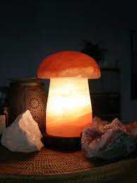 Anwar Enterprises Decorative Mushroom-Shaped Himalayan Salt Lamp Polished and Carved with Floral Catcher Styles - Product Image 2
