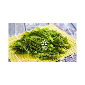Raisins de mer déshydratés d'algues de délicatesse avec le meilleur prix 2024 - Product Image 1